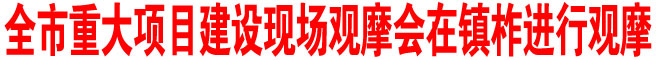 商洛市重大项目建设现场观摩会在镇柞进行观摩