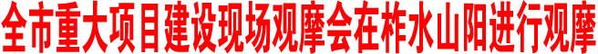 商洛市重大项目建设现场观摩会在柞水山阳进行观摩