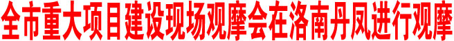 商洛市重大项目建设现场观摩会在洛南丹凤进行观摩