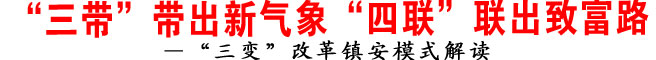 ——“三变”改革镇安模式解读