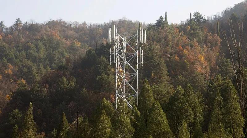 1密林深处，竖立起格外醒目的移动4G基站.jpg