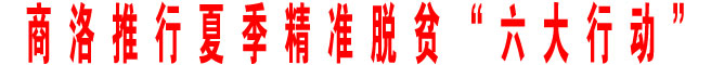 商洛推行夏季精准脱贫“六大行动”