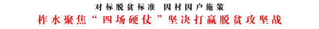 柞水聚焦“四场硬仗”坚决打赢脱贫攻坚战
