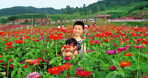 万亩花海惹人醉