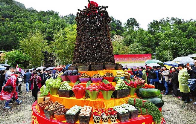 金风送爽硕果丰 农家欣喜乐融融