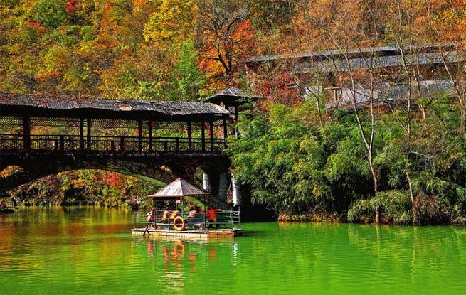 看红叶静美 品秋之韵味