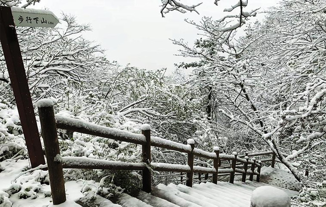 秦岭五月雪纷飞 牛背梁景区惹人醉