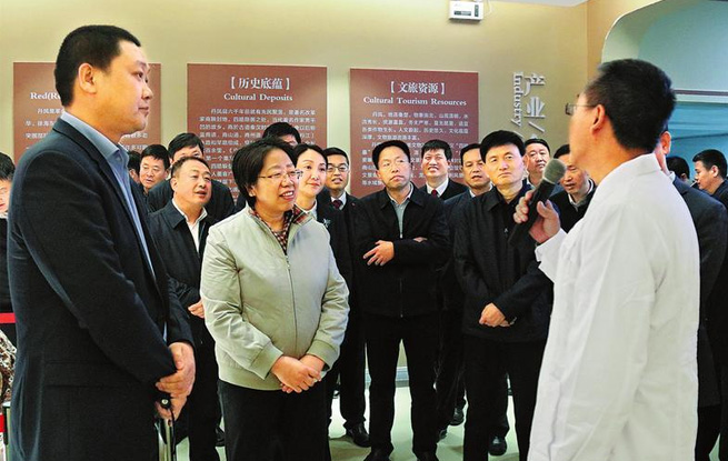 全市重大项目建设现场观摩会在商南丹凤观摩