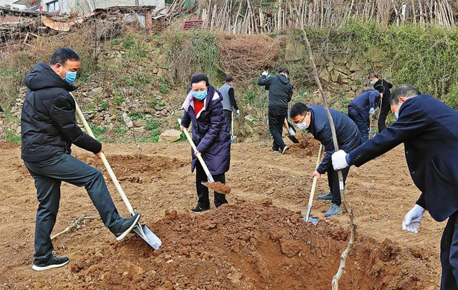 市领导参加义务植树活动