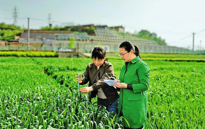 气象科技 助农增产