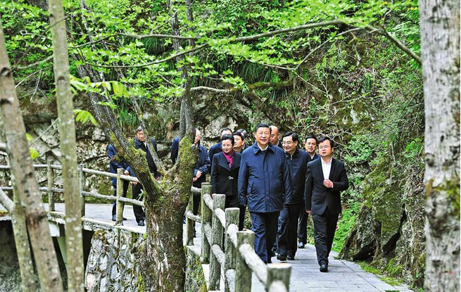 和煦春风满商洛