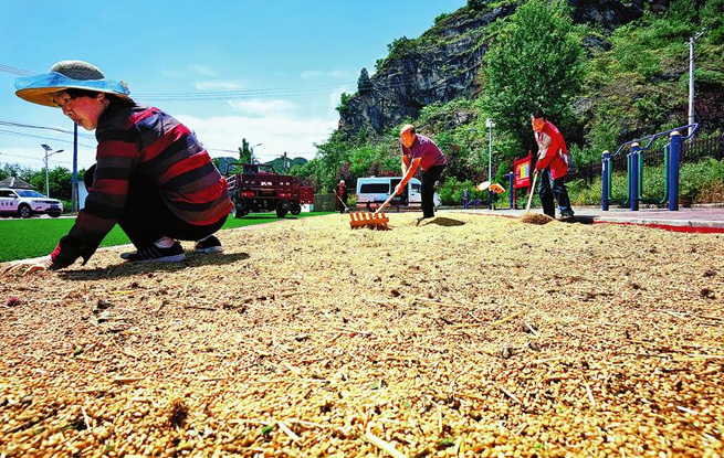 风吹麦浪 颗粒归仓