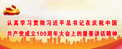 认真学习贯彻习近平总书记在庆祝中国共产党成立100周年大会上的重要讲话精神