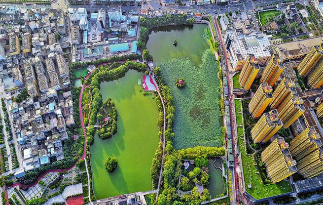 城市“绿肺”莲湖公园