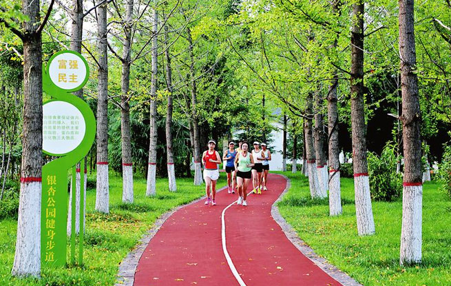 银杏林下好休闲