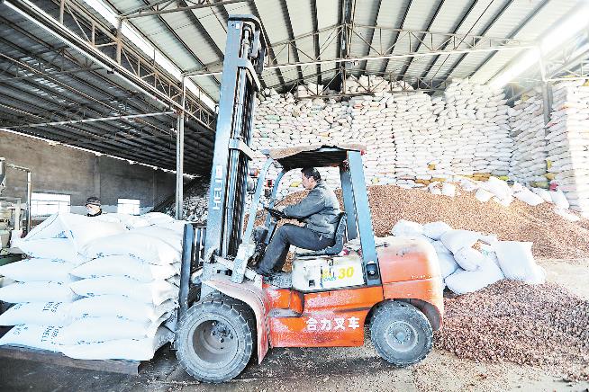 商洛一民营企业核桃壳产品畅销多国