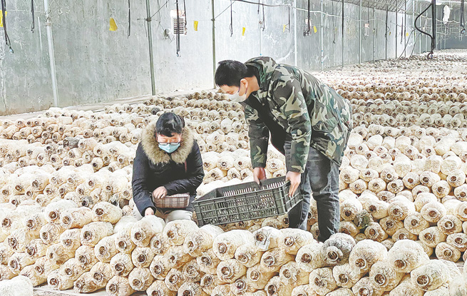 加大检测力度 确保春节食品安全