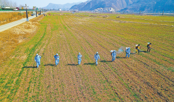 稳面积保产量 春耕备耕忙