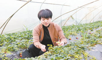 创业创新“她”力量 筑梦路上放异彩