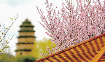 花红柳绿春意浓