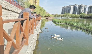 生态优美 和谐共生