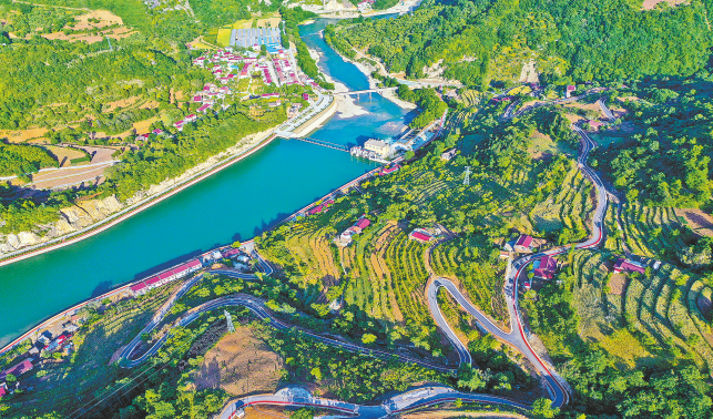 护好这片绿 换得金山来