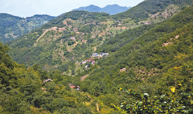 寻访抗美援朝老兵谢吉安