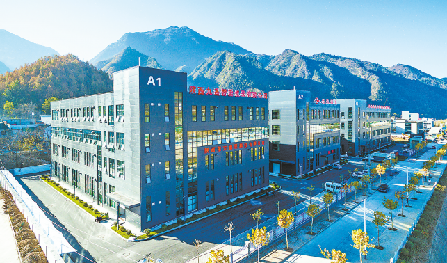 持续优化营商环境 做大做强产业规模