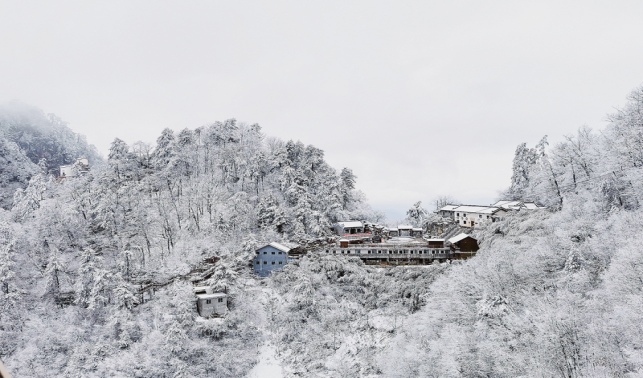 雪景美如画