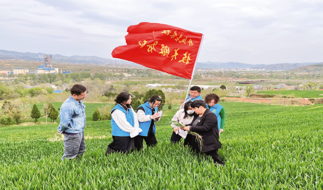 专家来到家门口 惠民服务暖人心