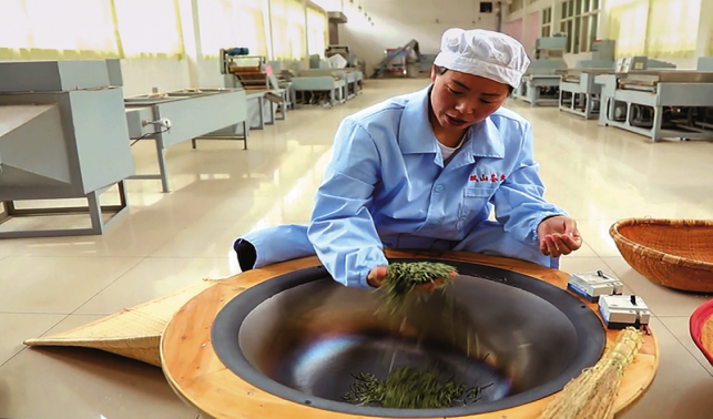 坚守茶“心”二十载