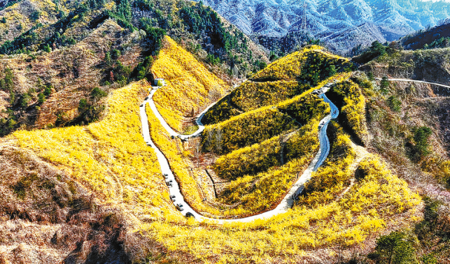 踏春赏花享胜景