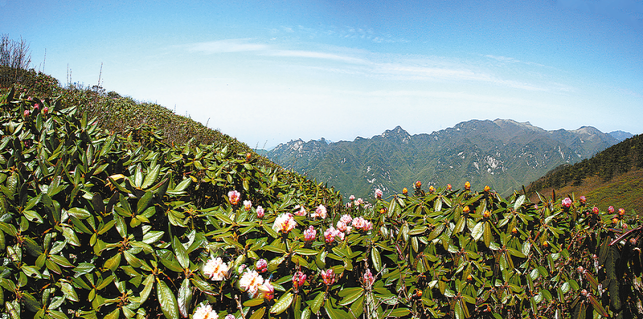 在孝义厅，与孟贯同闻溪声