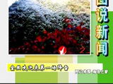 商洛全接触（2010-11-01）