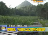 商洛全接触（2011-07-13）