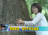 商洛全接触（2011-08-10）