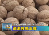商洛全接触（2011-09-08）