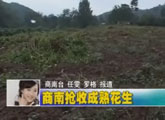 商洛全接触（2011-09-16）