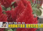 商洛全接触（2011-10-17）