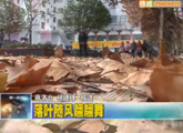 商洛全接触（2011-11-22）