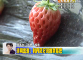 商洛全接触（2012-04-04）