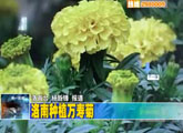 商洛全接触（2012-05-10）