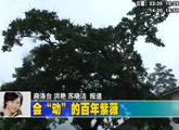商洛全接触（2012-07-02）