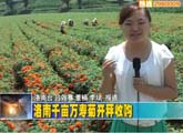 商洛全接触（2012-07-24）