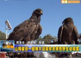 商洛全接触（2012-10-24）