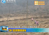 商洛全接触（2013-02-04)