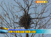 商洛全接触（2013-02-05）