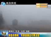 商洛全接触（2013-02-19）