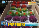 商洛全接触（2013-03-14）
