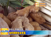 商洛全接触（2013-05-07）
